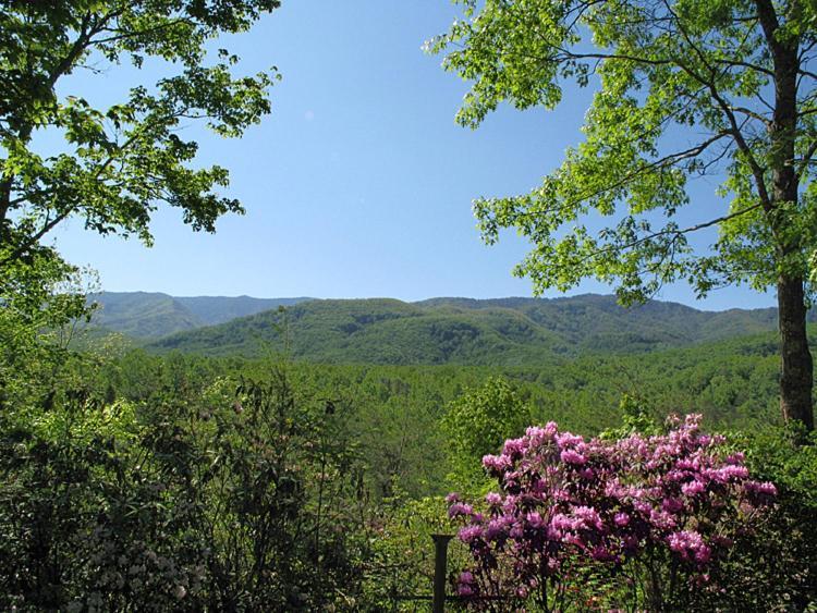 Seneca Villa Гетлинбург Екстериор снимка